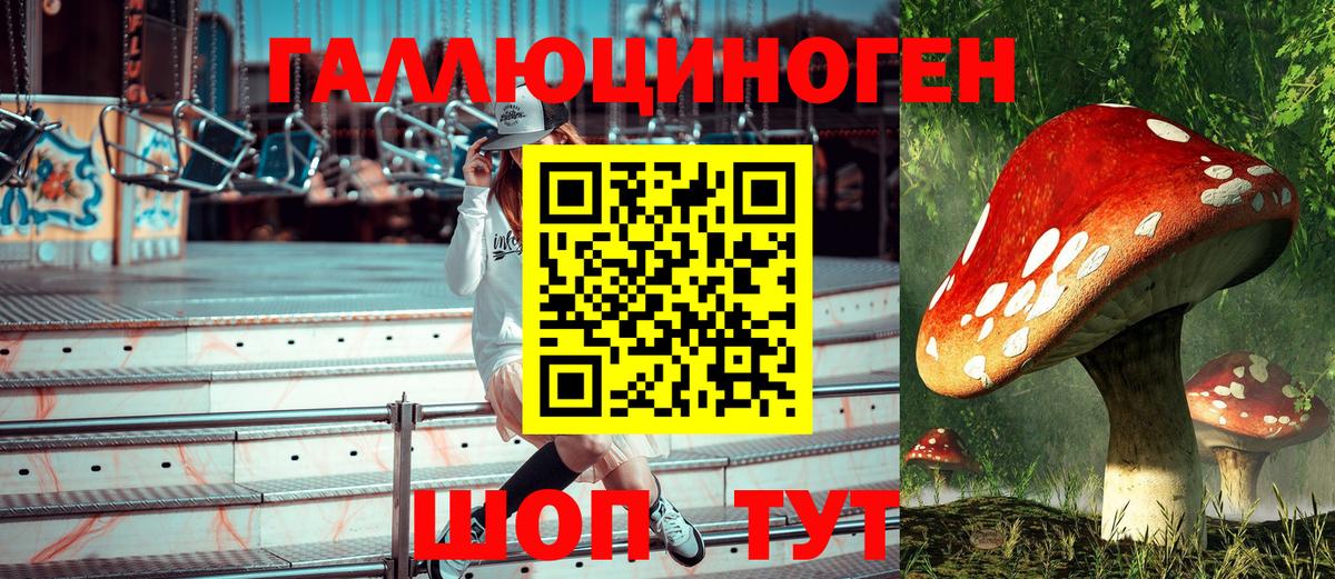 Псилоцибиновые грибы MAGIC MUSHROOMS  Псилоцибиновые грибы Psilocybe  Шахты  Вход с VPN 